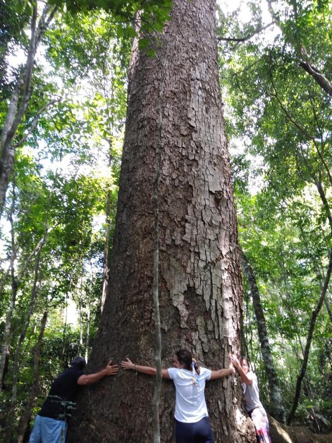 Margay - Reserva Natural Y Lodge De Selva El Soberbio Exterior photo