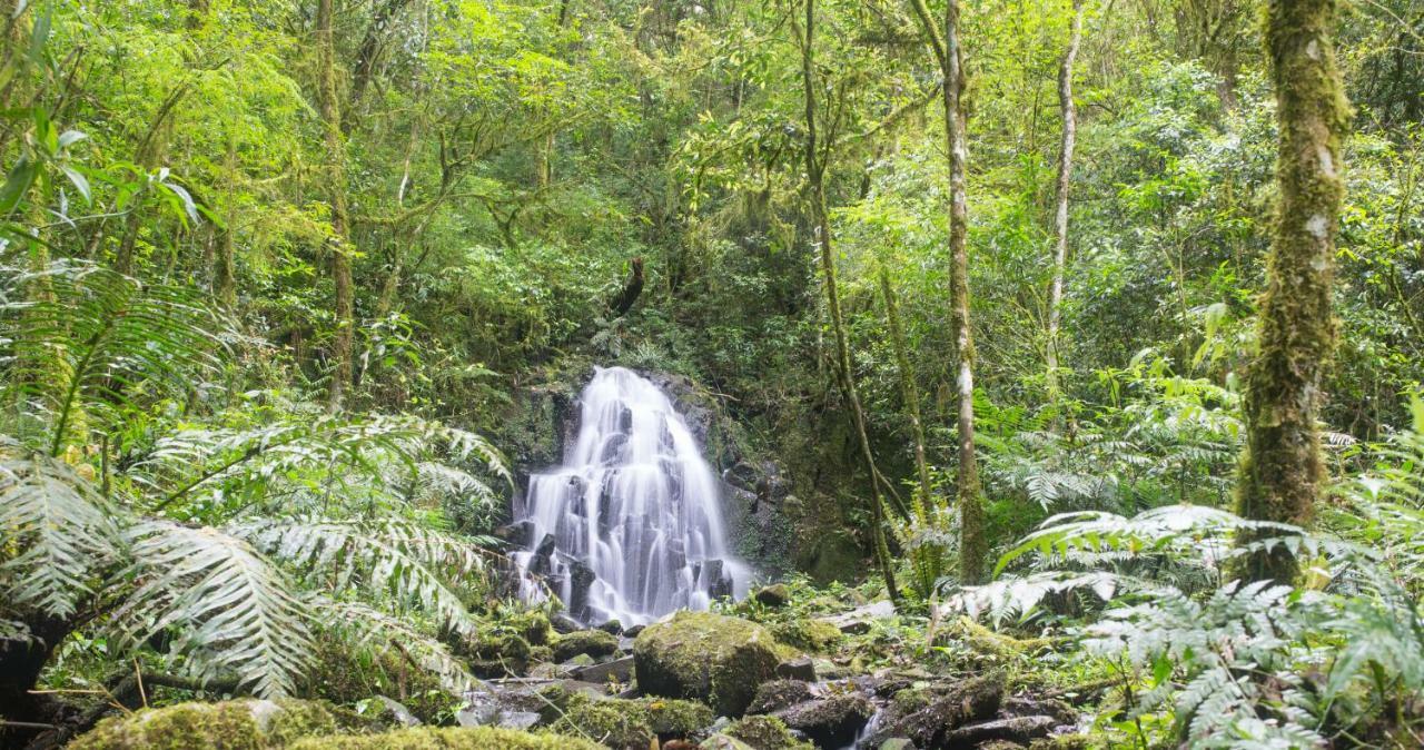 Margay - Reserva Natural Y Lodge De Selva El Soberbio Exterior photo