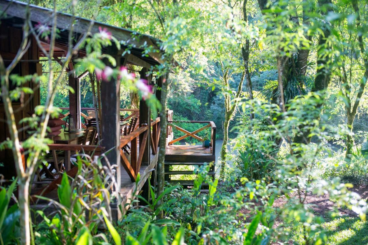 Margay - Reserva Natural Y Lodge De Selva El Soberbio Exterior photo